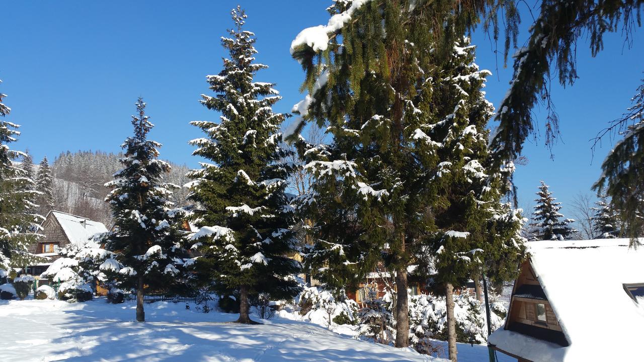 Camping Harenda Pokoje Goscinne I Domki Zakopane Exterior photo