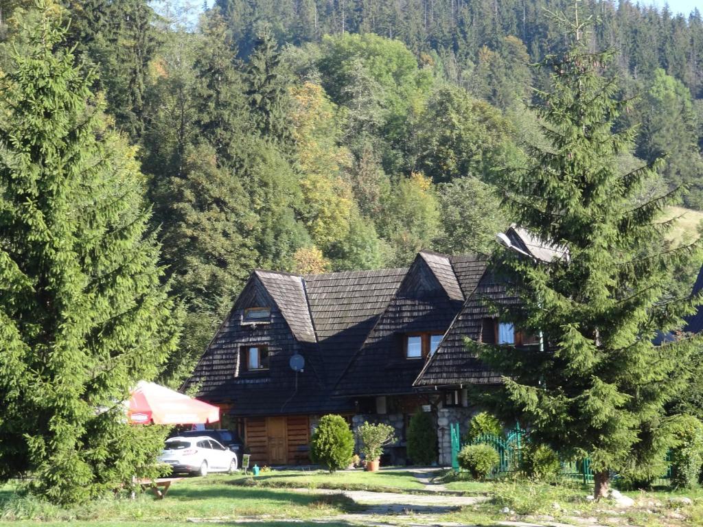 Camping Harenda Pokoje Goscinne I Domki Zakopane Room photo